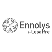 logo-ennolys